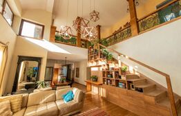 Casa individuala, 280mp utili 734mp teren, Iosefin-Dambovita