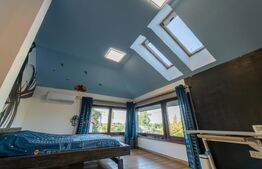 Casa individuala, 280mp utili 734mp teren, Iosefin-Dambovita