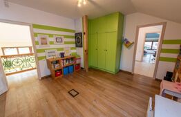 Casa individuala, 280mp utili 734mp teren, Iosefin-Dambovita