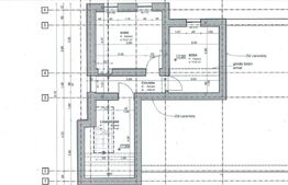 Casa individuala, de 240mp utili, D+P+1+Pod, zona Tipografilor.