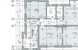 Casa individuala, de 240mp utili, D+P+1+Pod, zona Tipografilor.