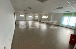 Hala+birouri, 15533mp utili, teren 21323mp, Freidorf