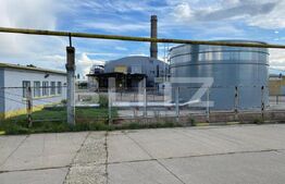 Hala+birouri, 15533mp utili, teren 21323mp, Freidorf