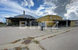 Hala+birouri, 15533mp utili, teren 21323mp, Freidorf