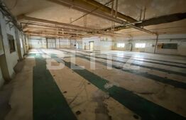 Hala+birouri, 15533mp utili, teren 21323mp, Freidorf