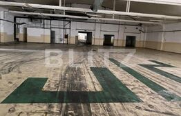 Hala+birouri, 15533mp utili, teren 21323mp, Freidorf