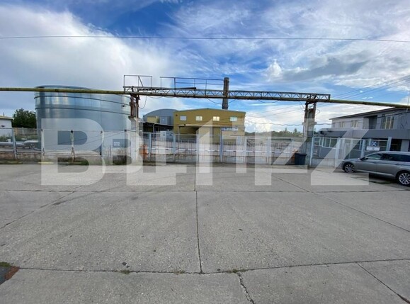 Spațiu industrial de închiriat Freidorf - 140675SII | BLITZ Timișoara | Poza5