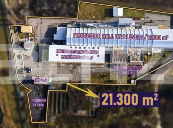 Spațiu industrial de închiriat Freidorf - 140675SII | BLITZ Timișoara | Poza1