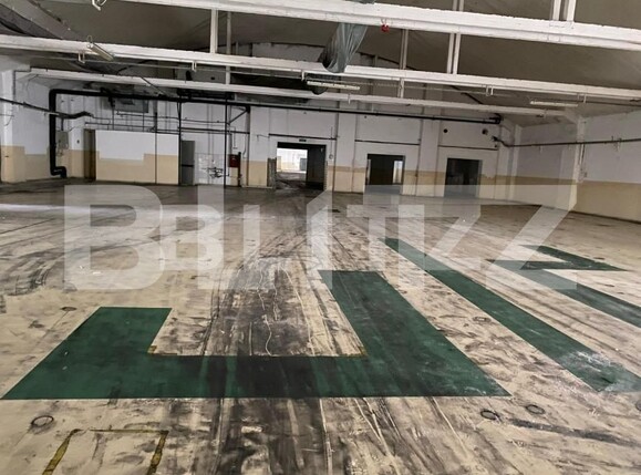 Spațiu industrial de închiriat Freidorf - 140675SII | BLITZ Timișoara | Poza11