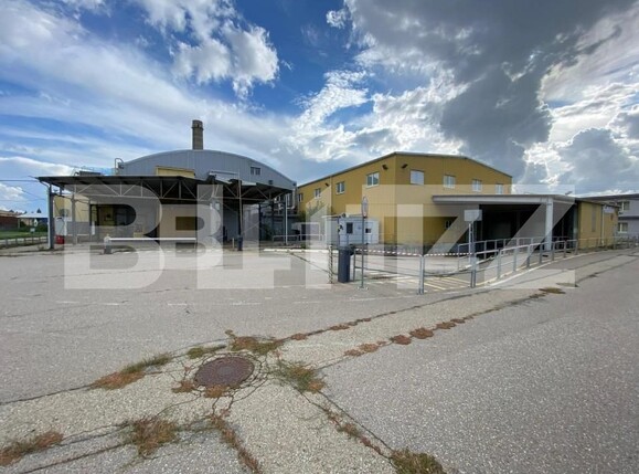 Spațiu industrial de închiriat Freidorf - 140675SII | BLITZ Timișoara | Poza2