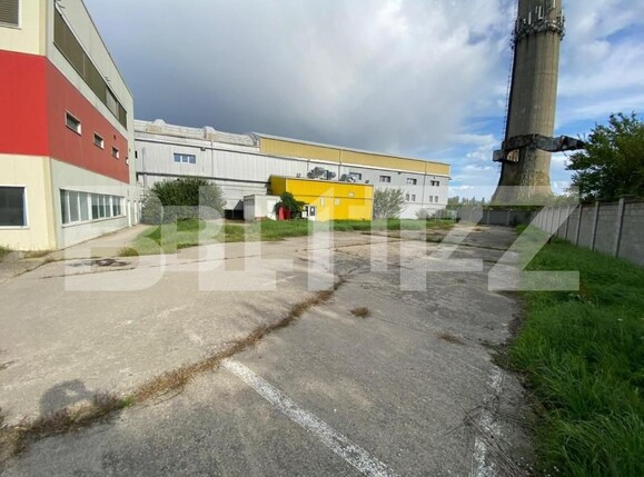 Spațiu industrial de închiriat Freidorf - 140675SII | BLITZ Timișoara | Poza10
