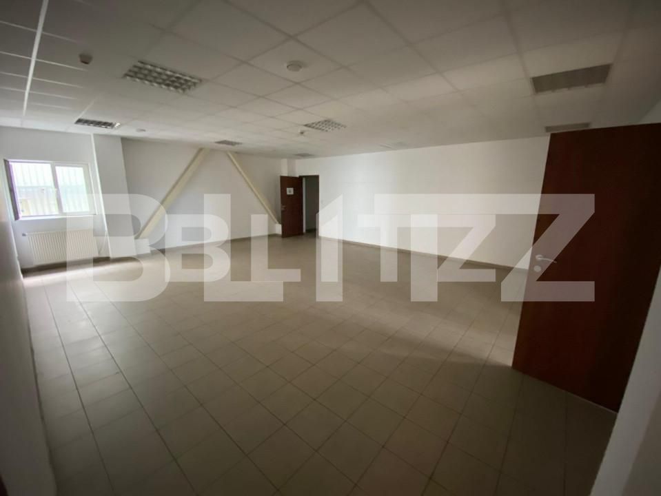 Spațiu industrial de închiriat Freidorf - 140675SII | BLITZ Timișoara | Poza12