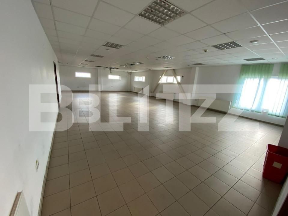 Spațiu industrial de închiriat Freidorf - 140675SII | BLITZ Timișoara | Poza8