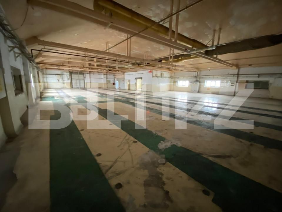 Spațiu industrial de închiriat Freidorf - 140675SII | BLITZ Timișoara | Poza6