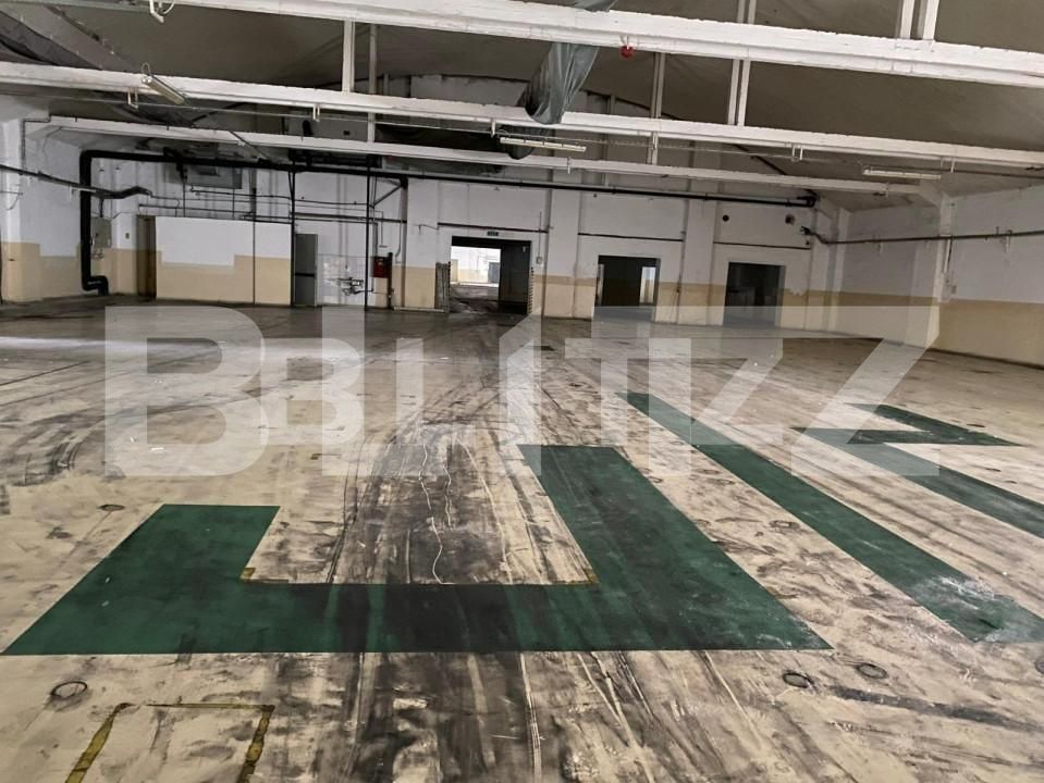 Spațiu industrial de închiriat Freidorf - 140675SII | BLITZ Timișoara | Poza11