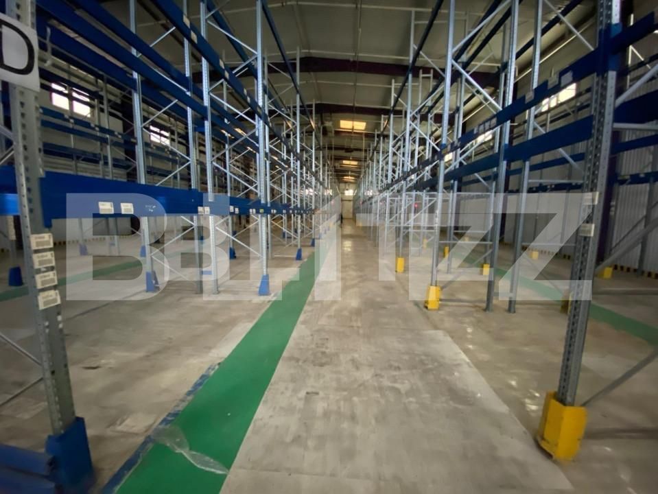 Spațiu industrial de închiriat Freidorf - 140675SII | BLITZ Timișoara | Poza9