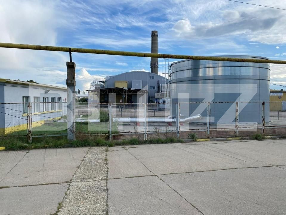 Spațiu industrial de închiriat Freidorf - 140675SII | BLITZ Timișoara | Poza4