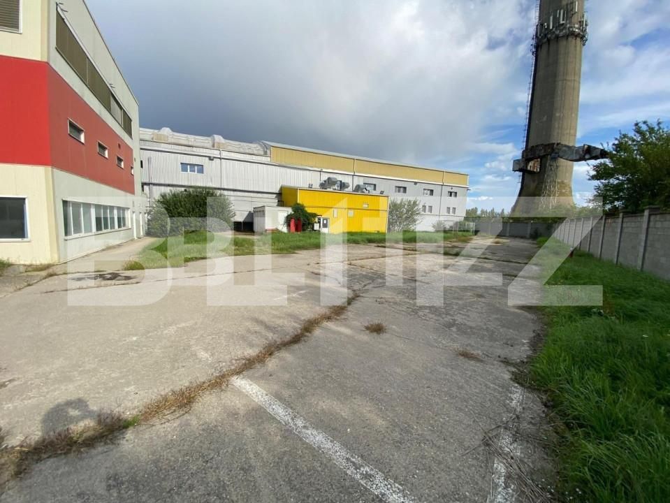 Spațiu industrial de închiriat Freidorf - 140675SII | BLITZ Timișoara | Poza10