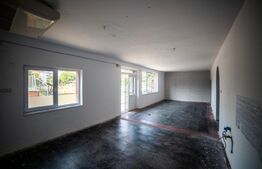 Casa cu 3 apartamante+spatiu comercial, 320mp utili, 691mp teren, Sagului