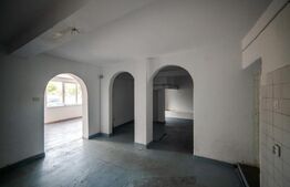 Casa cu 3 apartamante+spatiu comercial, 320mp utili, 691mp teren, Sagului