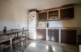 Casa cu 3 apartamante+spatiu comercial, 320mp utili, 691mp teren, Sagului