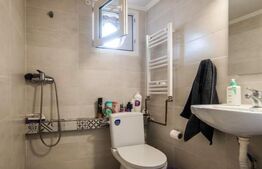 Casa cu 3 apartamante+spatiu comercial, 320mp utili, 691mp teren, Sagului