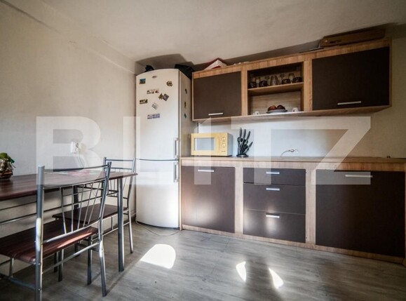 Casa de vânzare 10 camere Sagului - 140696CV | BLITZ Timișoara | Poza2