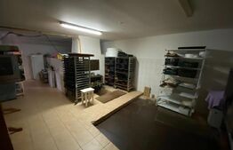 Casa de 7 camere, 180mp utili + 200mp contructie, 622mp teren, in Mehala.