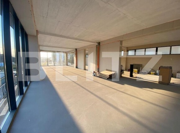 Spațiu birouri de închiriat Torontalului - 140703SIB | BLITZ Timișoara | Poza3