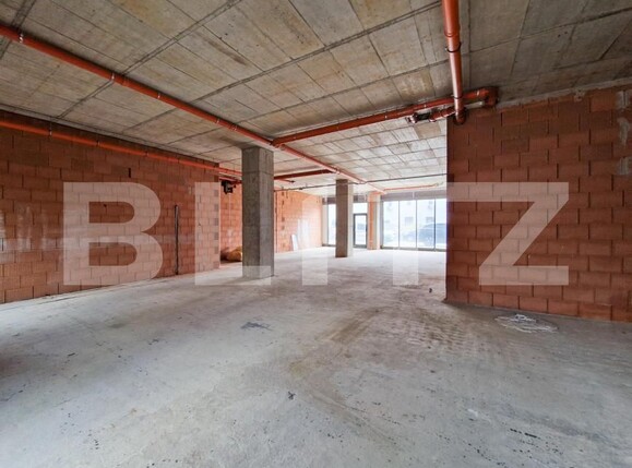 Spațiu birouri de închiriat Badea Cartan - 140704SIB | BLITZ Timișoara | Poza5