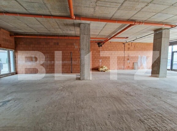 Spațiu birouri de închiriat Badea Cartan - 140704SIB | BLITZ Timișoara | Poza3