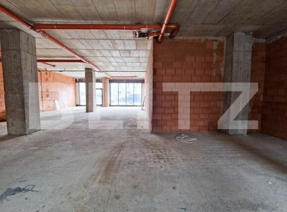 Spațiu birouri de închiriat Badea Cartan - 140704SIB | BLITZ Timișoara | Poza2