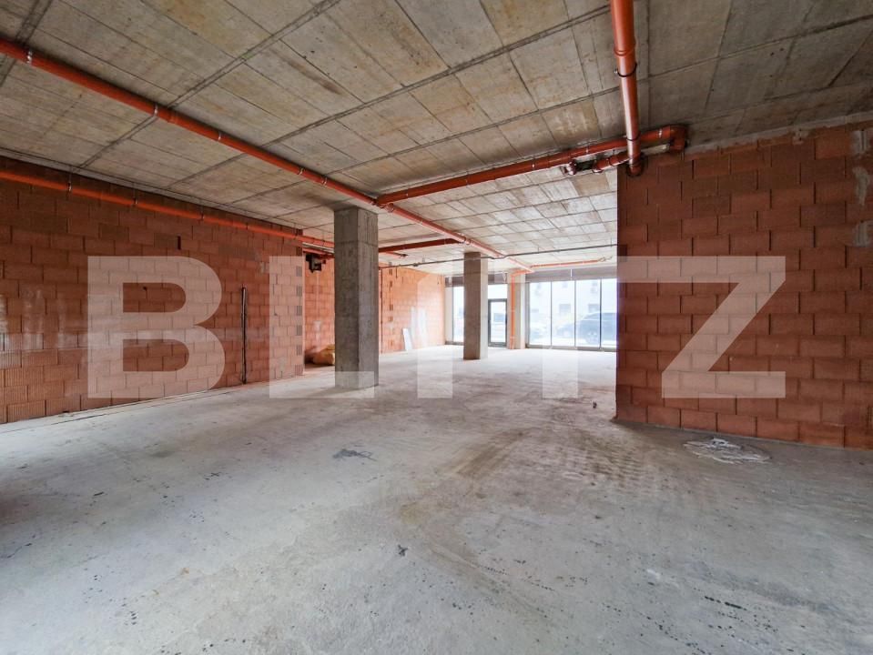 Spațiu birouri de închiriat Badea Cartan - 140704SIB | BLITZ Timișoara | Poza5