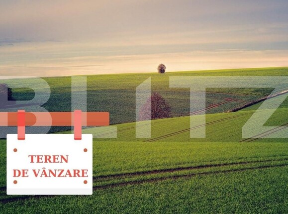 Teren de vânzare Exterior Est - 140709TV | BLITZ Timișoara | Poza1