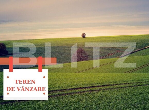 Teren de vânzare Exterior Est - 140709TV | BLITZ Timișoara | Poza1