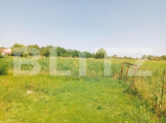 Casa de vânzare 5 camere Exterior Sud - 140713CV | BLITZ Timișoara | Poza3