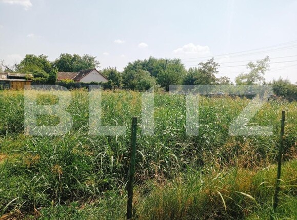 Casa de vânzare 5 camere Exterior Sud - 140713CV | BLITZ Timișoara | Poza2