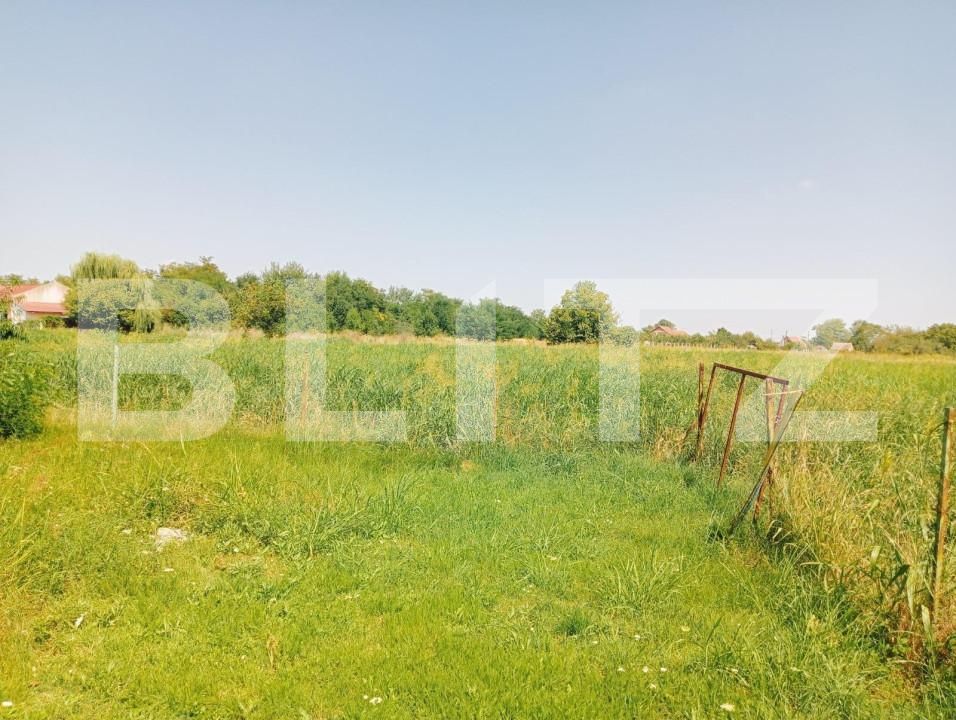 Casa de vânzare 5 camere Exterior Sud - 140713CV | BLITZ Timișoara | Poza3