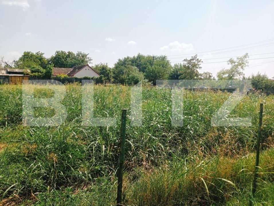 Casa de vânzare 5 camere Exterior Sud - 140713CV | BLITZ Timișoara | Poza2