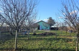 Ocazie! Casa 4 camere, 200mp, hala 500mp, teren 10000mp, in Freidorf