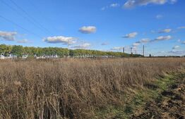 Ocazie! Casa 4 camere, 200mp, hala 500mp, teren 10000mp, in Freidorf