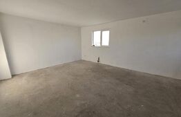 Ocazie! Casa 4 camere, 200mp, hala 500mp, teren 10000mp, in Freidorf