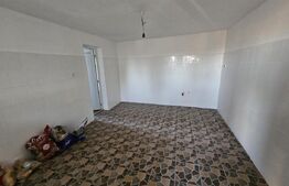 Ocazie! Casa 4 camere, 200mp, hala 500mp, teren 10000mp, in Freidorf