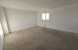 Ocazie! Casa 4 camere, 200mp, hala 500mp, teren 10000mp, in Freidorf