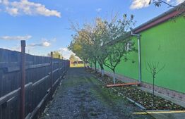 Ocazie! Casa 4 camere, 200mp, hala 500mp, teren 10000mp, in Freidorf