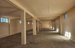 Ocazie! Casa 4 camere, 200mp, hala 500mp, teren 10000mp, in Freidorf