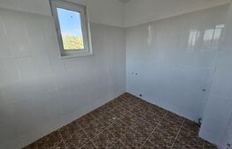 Ocazie! Casa 4 camere, 200mp, hala 500mp, teren 10000mp, in Freidorf