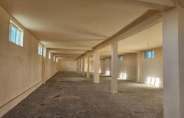 Ocazie! Casa 4 camere, 200mp, hala 500mp, teren 10000mp, in Freidorf