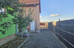 Ocazie! Casa 4 camere, 200mp, hala 500mp, teren 10000mp, in Freidorf