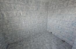 Ocazie! Casa 4 camere, 200mp, hala 500mp, teren 10000mp, in Freidorf